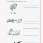 Arbeitsblätter · Grundschule · Lehrerbüro