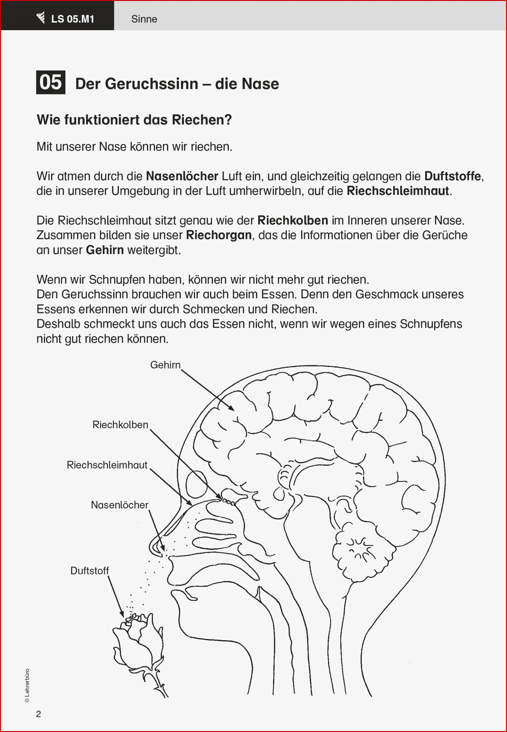 Arbeitsblätter · Grundschule · Lehrerbüro