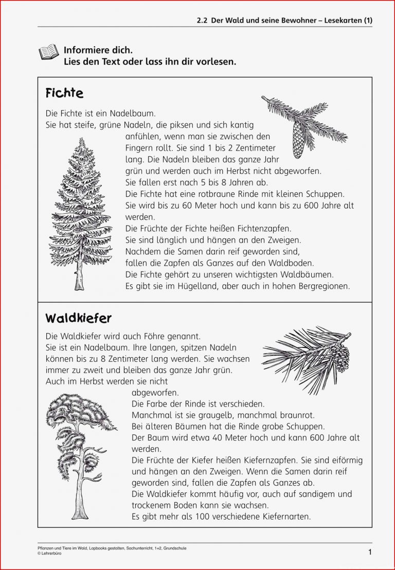 Arbeitsblätter · Grundschule · Lehrerbüro Kostenlos als Download Arbeitsblätter · Grundschule · Lehrerbüro