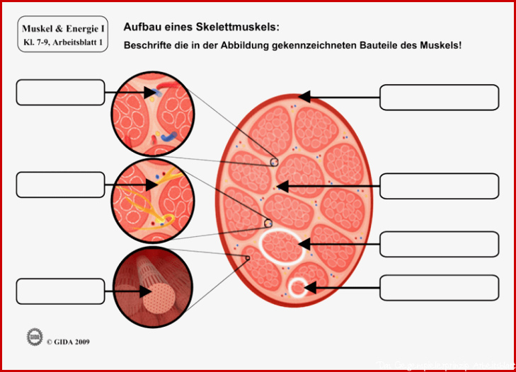 Arbeitsblätter Klasse 7