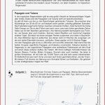 Arbeitsblätter Lernzirkel Tropischer Regenwald Worksheets