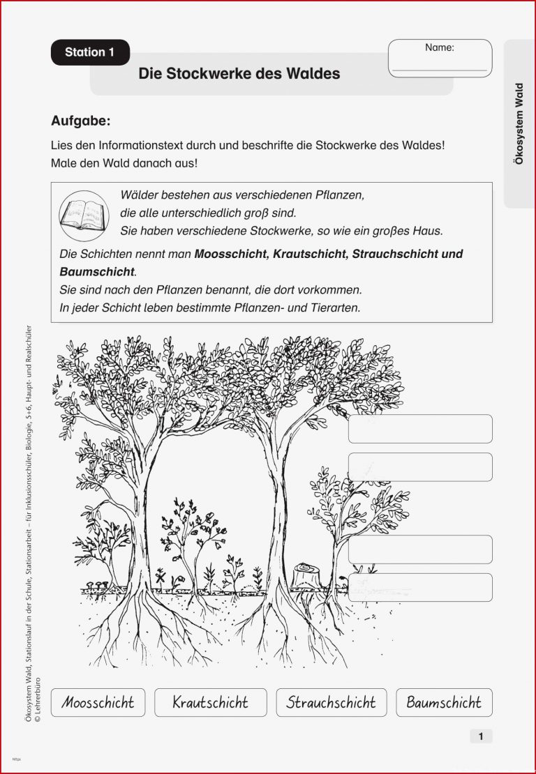 Arbeitsblätter Lernzirkel Tropischer Regenwald Worksheets