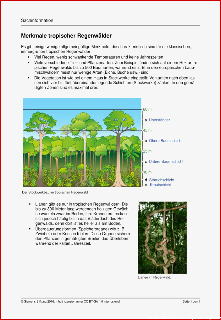 Arbeitsblätter Lernzirkel Tropischer Regenwald Worksheets
