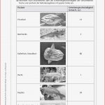 Arbeitsblätter · Sekundarstufe I · Lehrerbüro