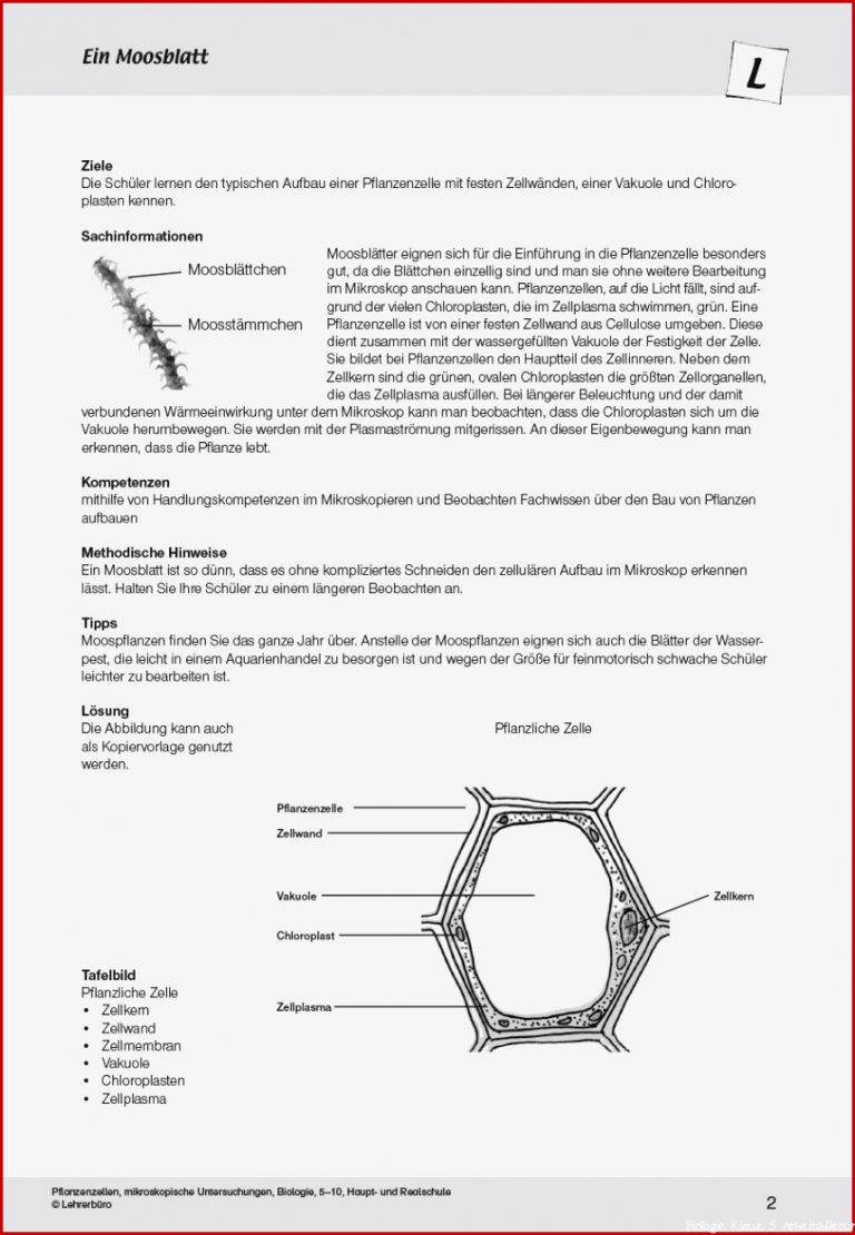 Arbeitsblätter · Sekundarstufe I · Lehrerbüro