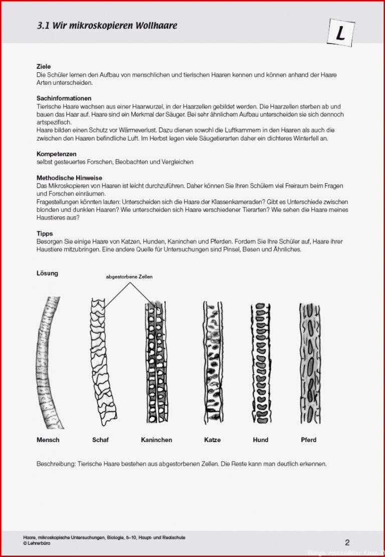 Arbeitsblätter · Sekundarstufe I · Lehrerbüro