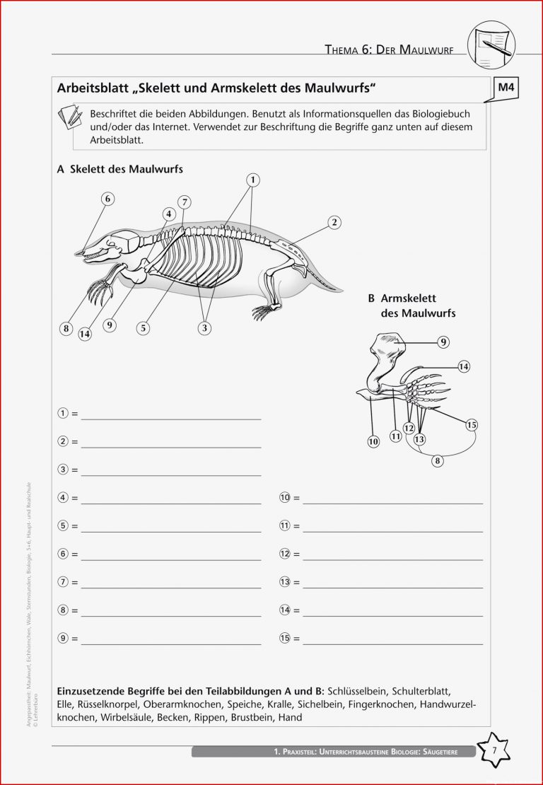 Arbeitsblätter · Sekundarstufe I · Lehrerbüro