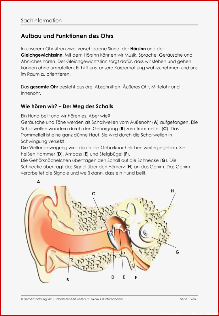 Arbeitsblätter Sinnesorgane Des Menschen Worksheets