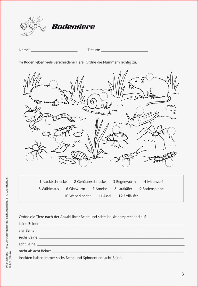 Arbeitsblätter W Grundschule Stockwerke Des Waldes