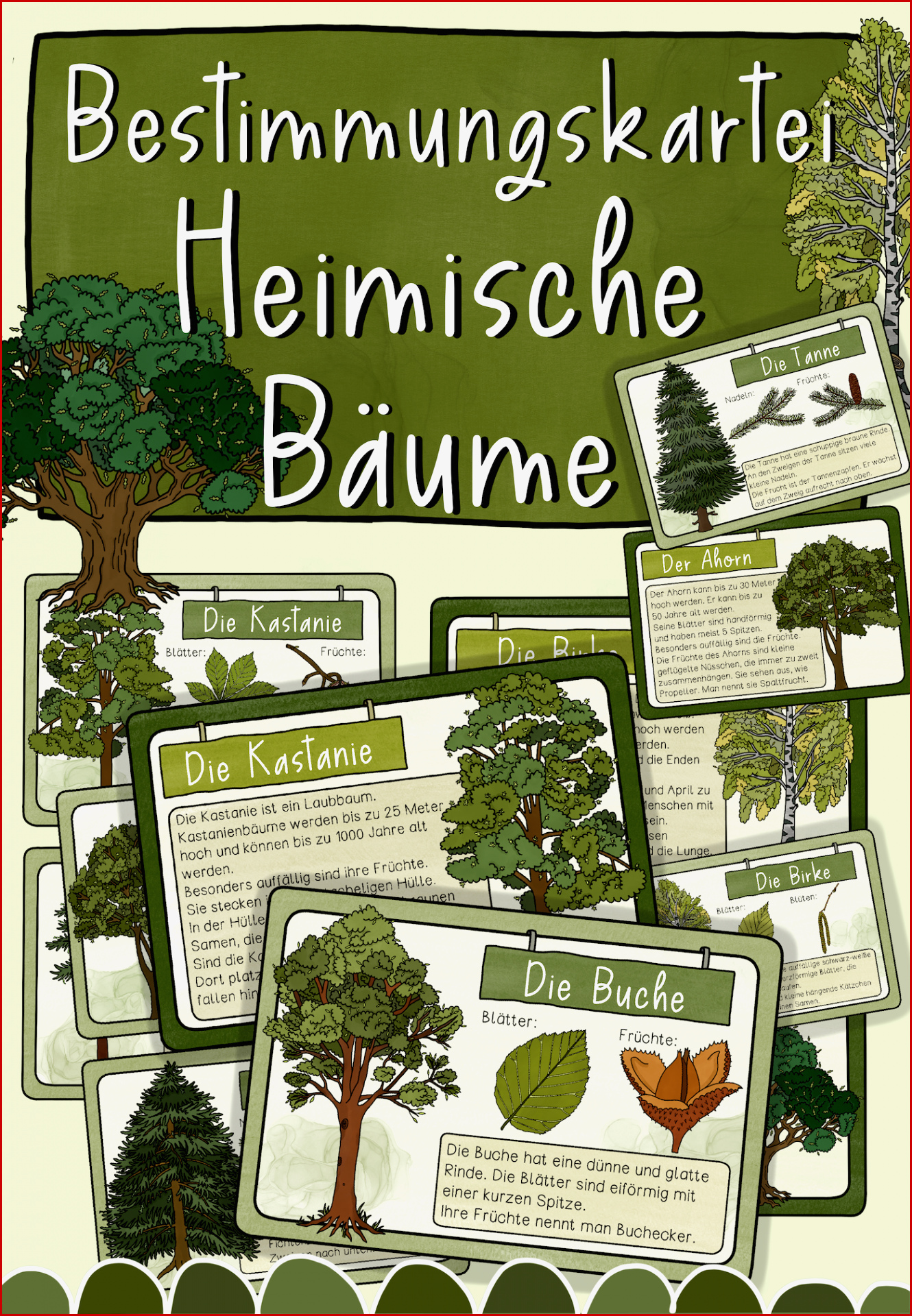 Arbeitsblätter Wald Bäume Klasse 2 Dorothy Meyer Grundschule