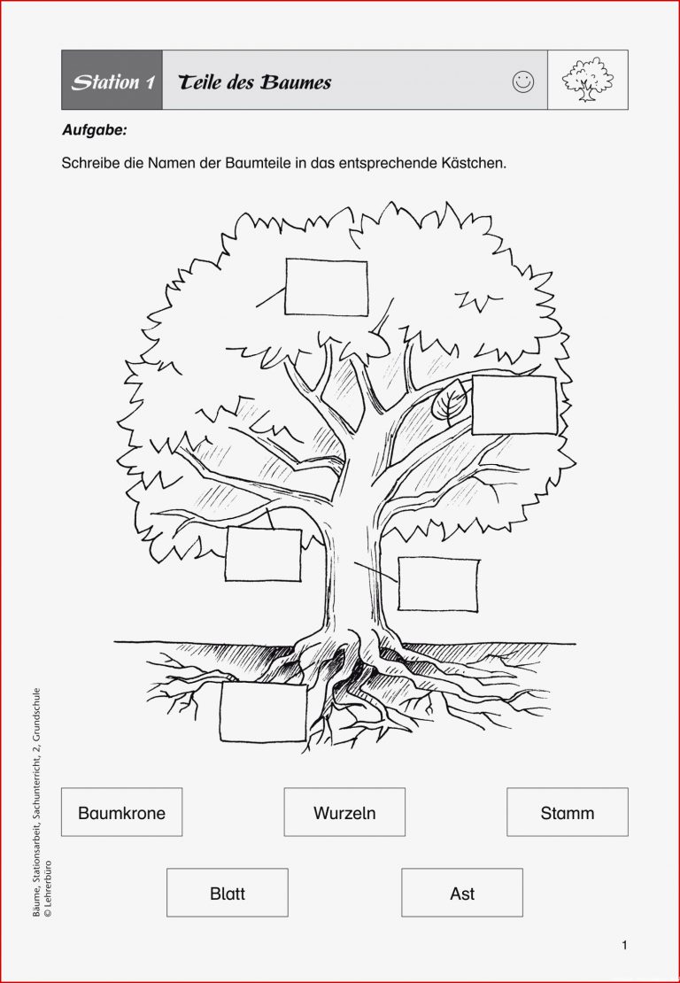 Arbeitsblätter Wald Kindergarten Stephen Scheidt Schule