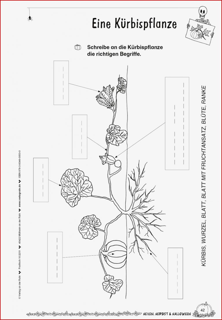 Arbeitsblätter Zum thema Schulgarten Unterrichtsmaterial