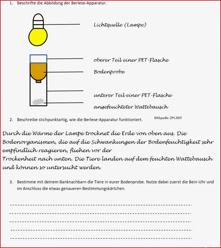 Arbeitsblatt 1 – Lösung