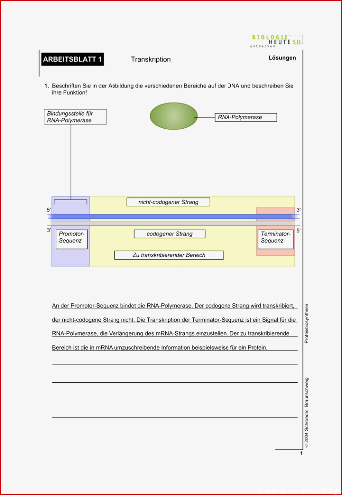 ARBEITSBLATT 1 Transkription