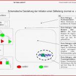 Arbeitsblatt 8 Mutation ist Nicht Gleich Mutation