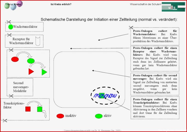 Arbeitsblatt 8 Mutation ist nicht gleich Mutation