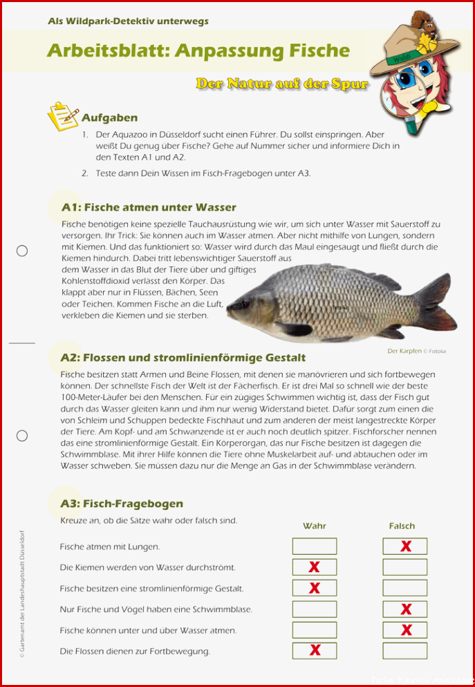 Arbeitsblatt Anpassung Fische