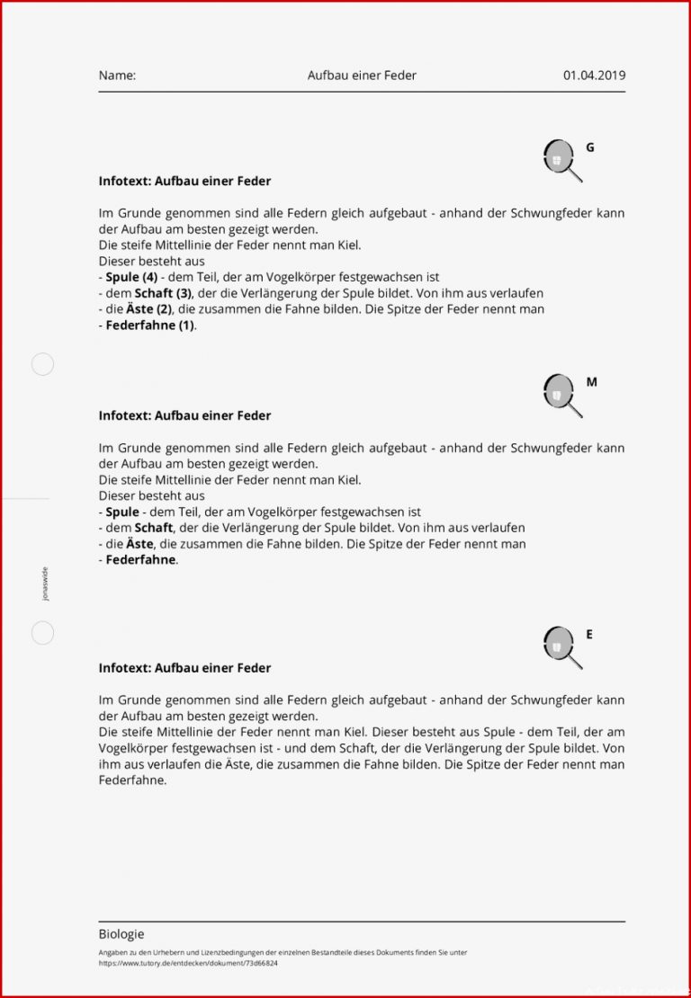 Arbeitsblatt Aufbau einer Feder Biologie tutory