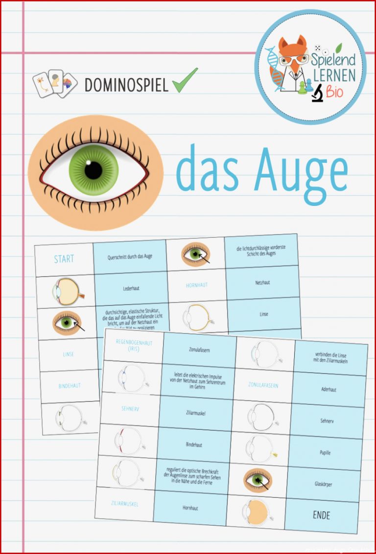 Arbeitsblatt Auge Beschriften Felipa Allen Grundschule