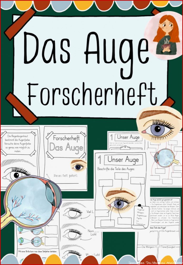 Arbeitsblatt Auge Klasse 9 Carl Winslow Grundschule