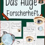 Arbeitsblatt Auge Klasse 9 Carl Winslow Grundschule