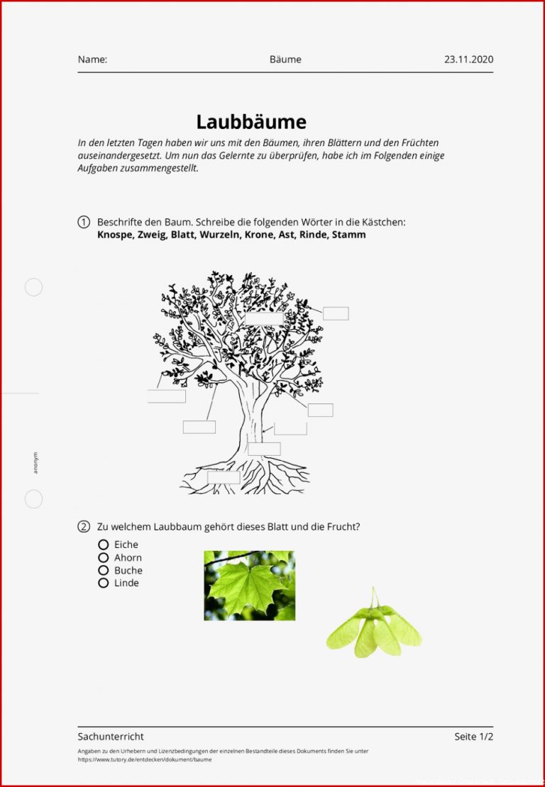 Arbeitsblatt Bäume Sachunterricht tutory