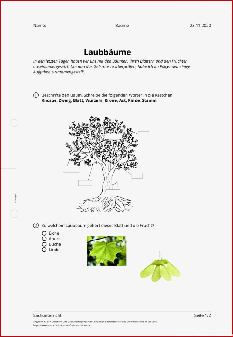 Arbeitsblatt Bäume Sachunterricht Tutory