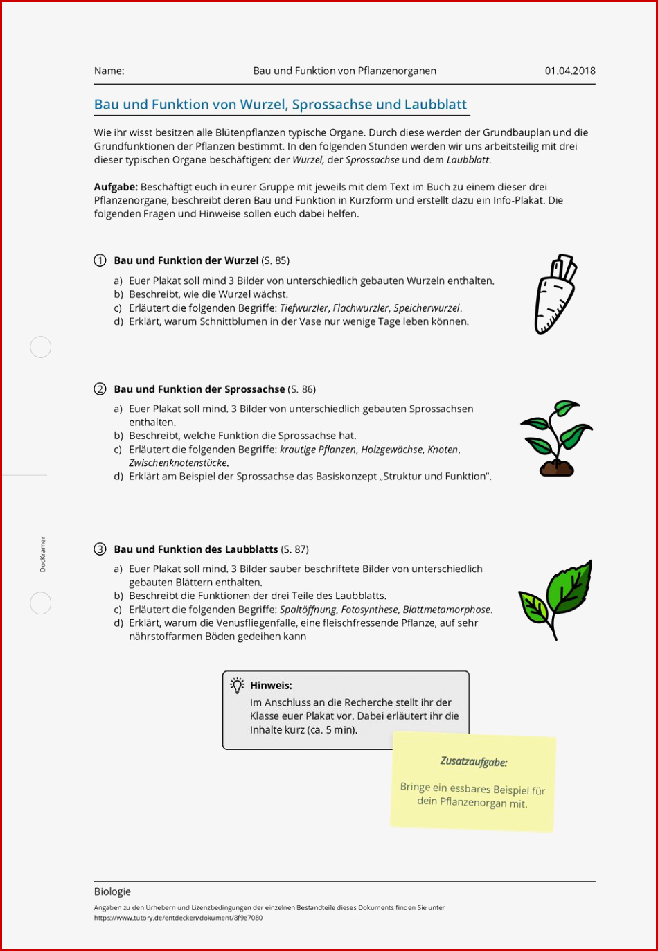 Arbeitsblatt Bau Und Funktion Von Pflanzenorganen