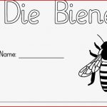 Arbeitsblatt Biene Felipa Allen Grundschule