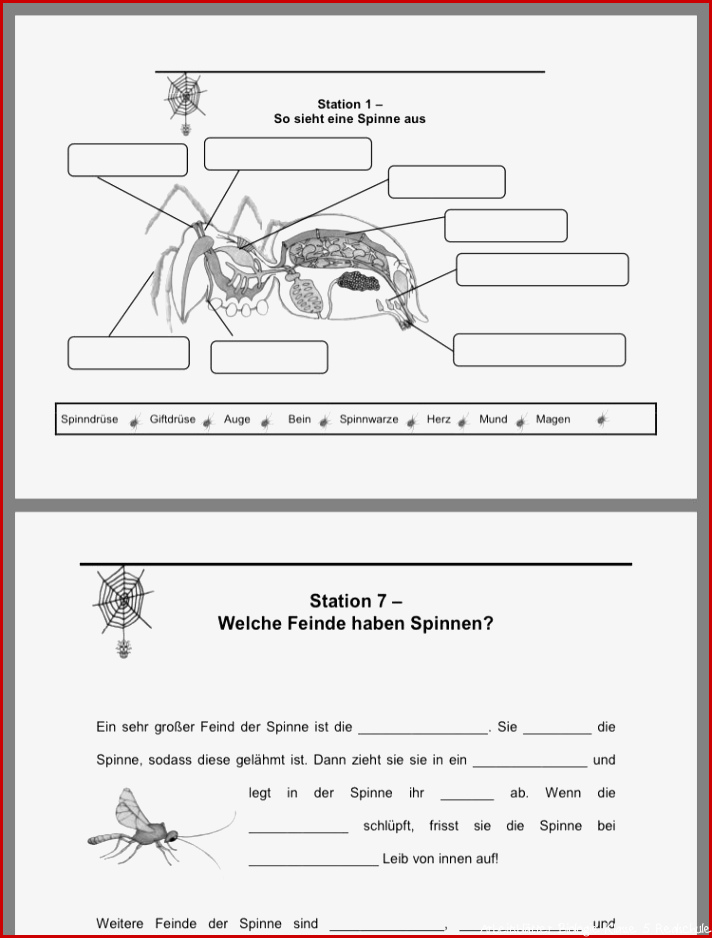 Arbeitsblatt biologie klasse 5 fische kostenlos