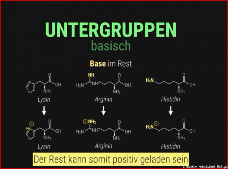 Arbeitsblatt Biologie Proteine 1 1 Biologie Tutory