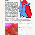 Arbeitsblatt Das Herz Biologie Tutory