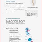 Arbeitsblatt Der Bandscheibenvorfall Biologie