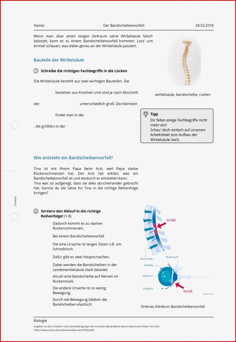 Arbeitsblatt Der Bandscheibenvorfall Biologie