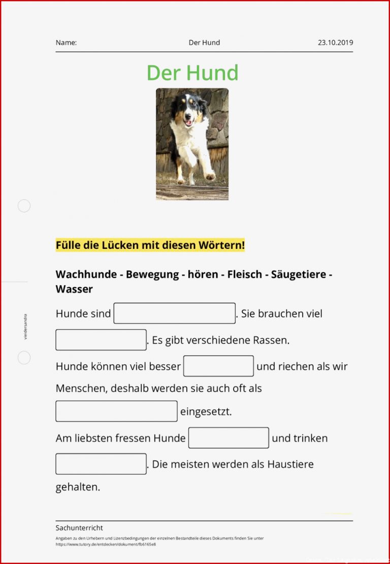 Arbeitsblatt Der Hund Sachunterricht Tutory