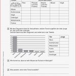 Arbeitsblatt Diagramme Klasse 4 Carl Winslow Grundschule