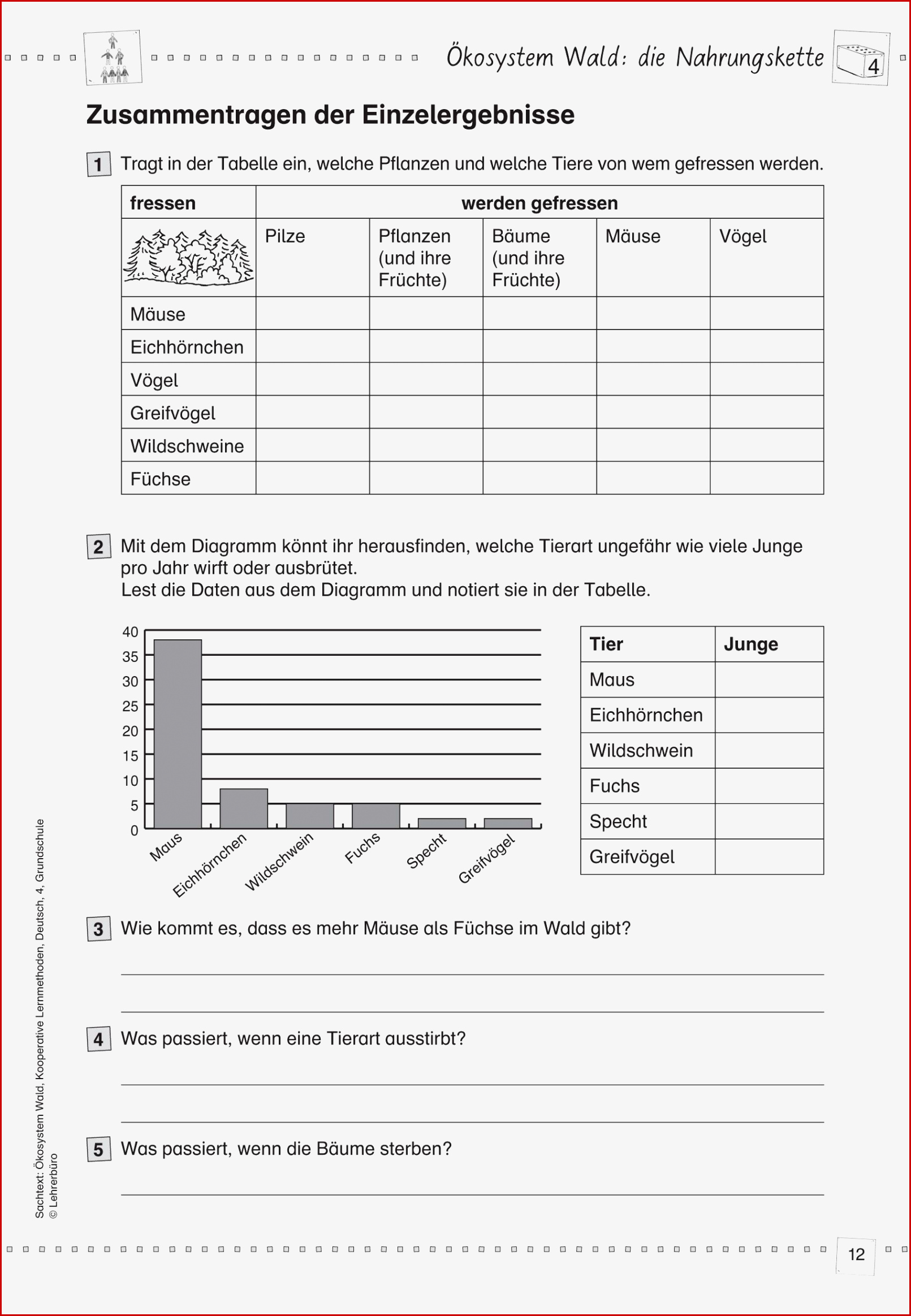 Arbeitsblatt Diagramme Klasse 4 Carl Winslow Grundschule