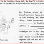 Arbeitsblatt Dichte Klasse 7 Debbie Preston Schule