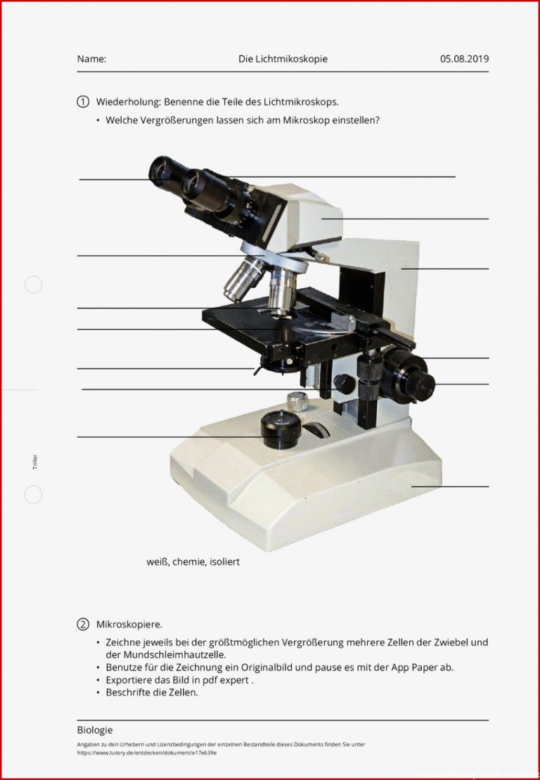 Arbeitsblatt Die Lichtmikoskopie Biologie tutory
