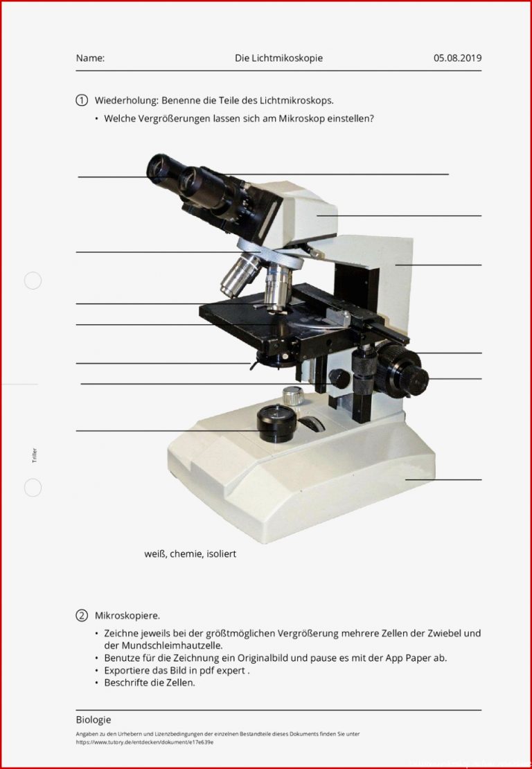 Arbeitsblatt Die Lichtmikoskopie Biologie Tutory