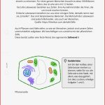 Arbeitsblatt Die Zelle Biologie Tutory