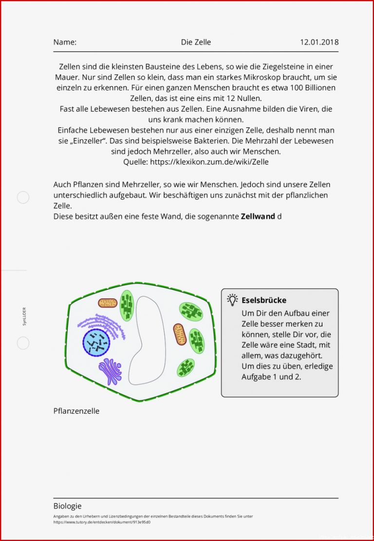 Arbeitsblatt Die Zelle Biologie tutory