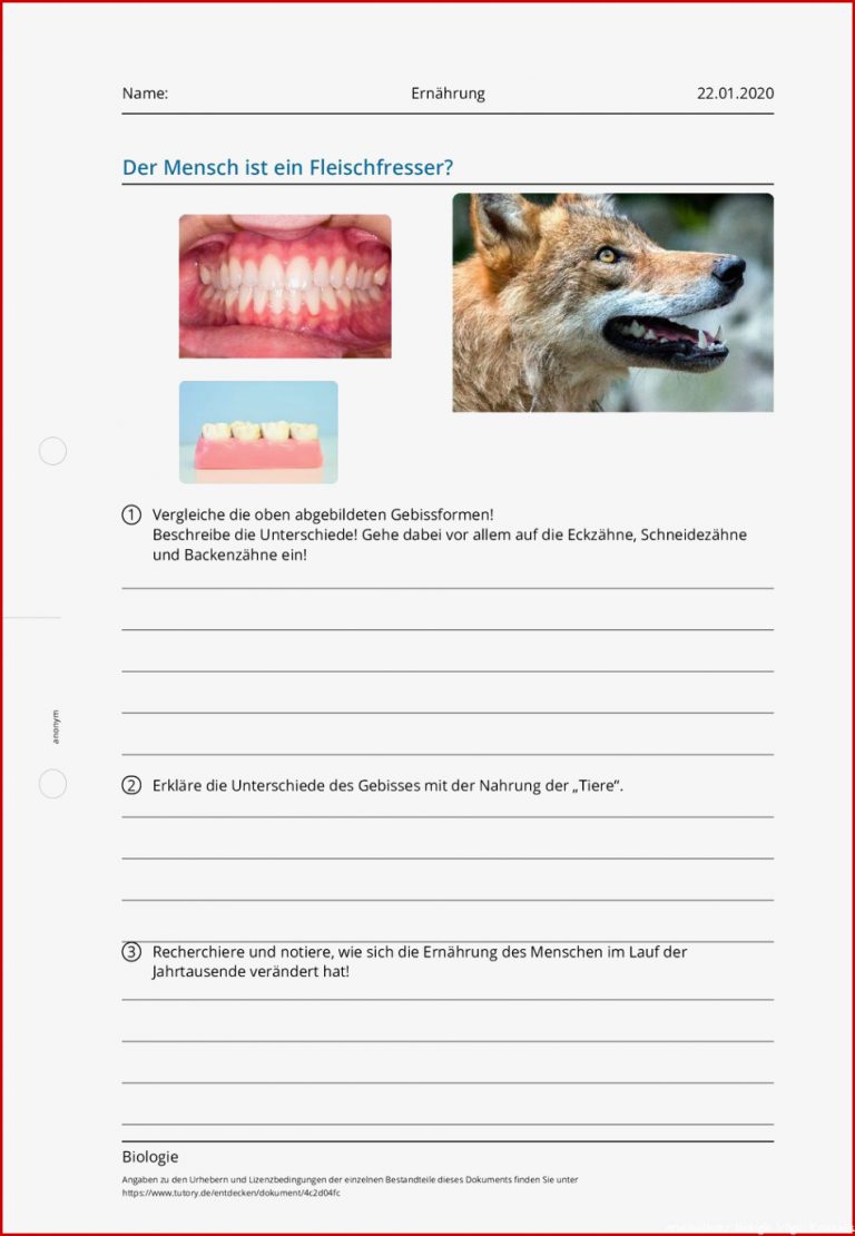 Arbeitsblatt Ernährung Biologie Tutory