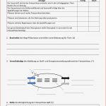 Arbeitsblatt Fotosynthese James Simmons Grundschule