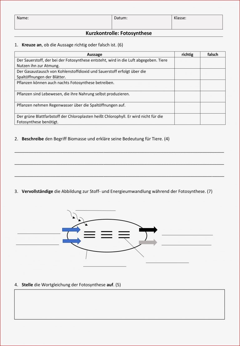 Arbeitsblatt Fotosynthese James Simmons Grundschule