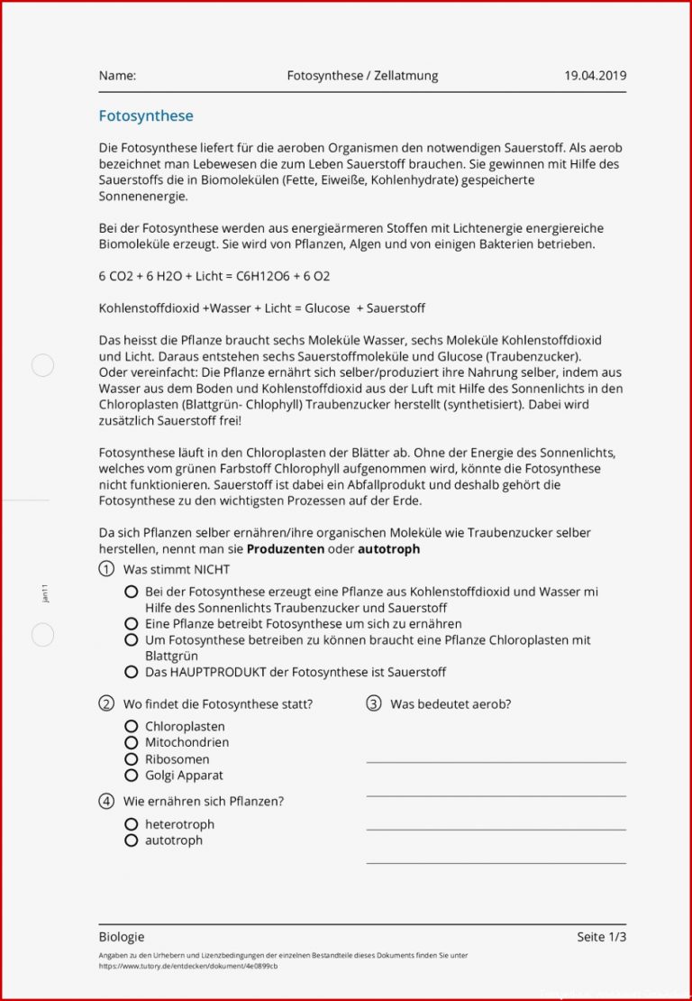 Arbeitsblatt Fotosynthese Zellatmung Biologie