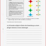 Arbeitsblatt Gruppenpuzzle Das Huhn