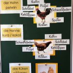 Arbeitsblatt Huhn Beschriften Robert Hackett Schule