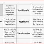 Arbeitsblatt Katze Klasse 5 Catherine Miller Grundschule