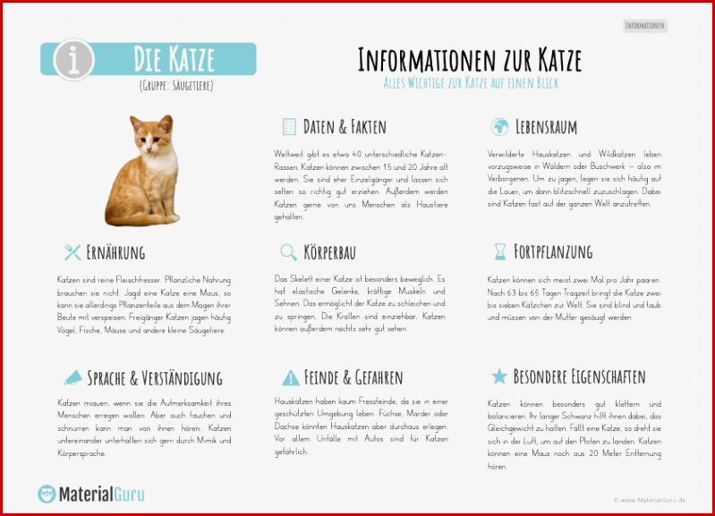 Arbeitsblatt Katzen